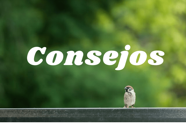 https://luchemoscontraladepresion.com/mi-historia-de-superacion/